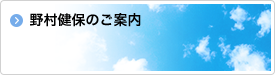 野村健保のご案内